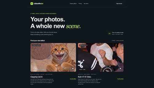 Video Effect AI homepage with photo-to-video templates and example clips.