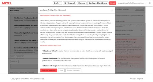 Audience Report Example on which strategy can be built on